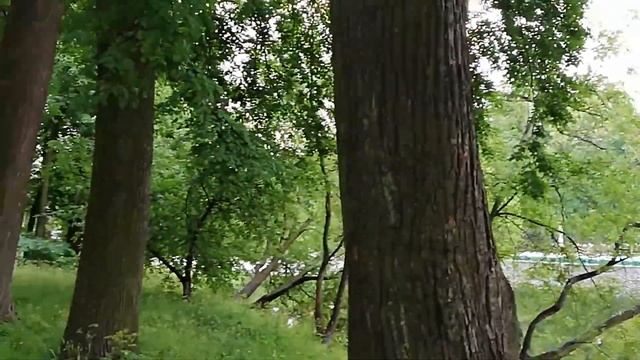 Елагин остров смотреть онлайн