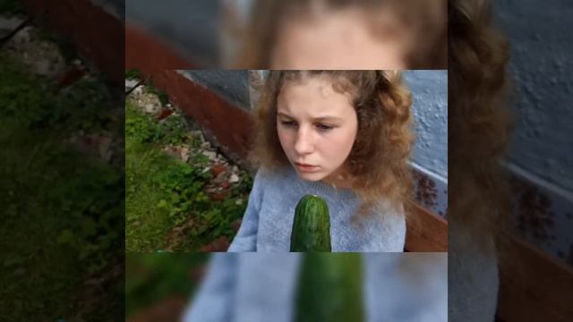 5 признаків, що ти дурень смотреть онлайн