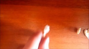 Как сделать петарду своими руками.