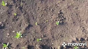 17-02-2025деревенская жизнь