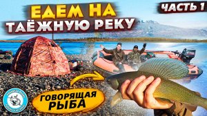 ЕДЕМ НА ТАЁЖНУЮ РЕКУ В ЯКУТИИ/ ГОВОРЯЩАЯ РЫБА
