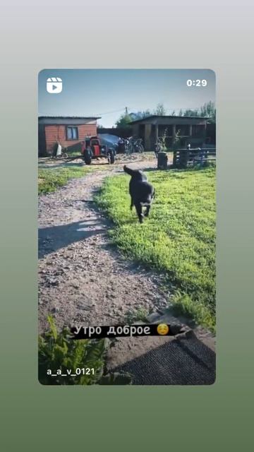 Доброе утро смотреть онлайн