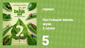 Настоящая жизнь жука 2 сезон 5 серия «За кадром» (документальный сериал, 2025)