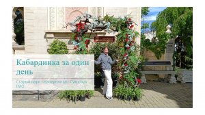 День в Кабардинке: стоит ли ехать, достопримечательности, ЦЕНЫ