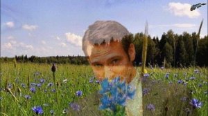 Малоизвестные ВИА.Танцплощадка 70 х. Васильковое плать