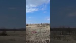 Не упускай счастливые моменты в жизни