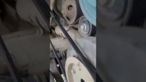переделка ремня вентилятора на автобусе ПАЗ 4234 04 с дви
