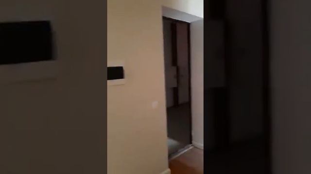 ЖК Арыстан смотреть онлайн