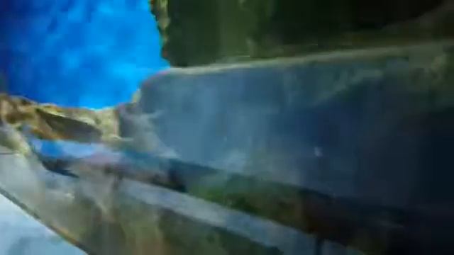 Санкт-петербург смотреть онлайн