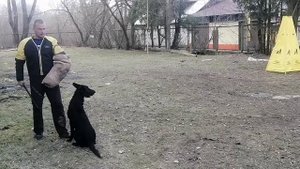 Байлих Докрейда. Сдача пожизненного кёрунга.