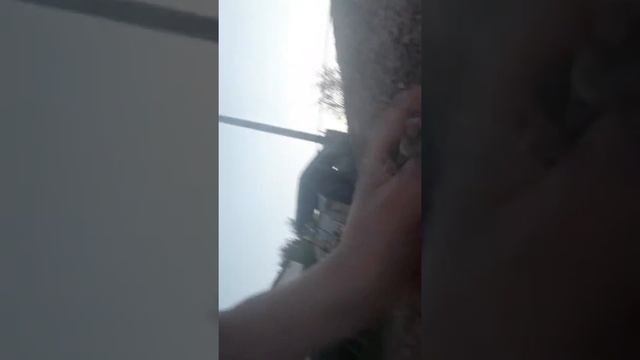 16 июня 2019 г.