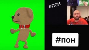 Подборка моих новых видео в тикток