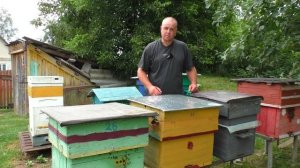 Как получить на пасеке больше мёда?
