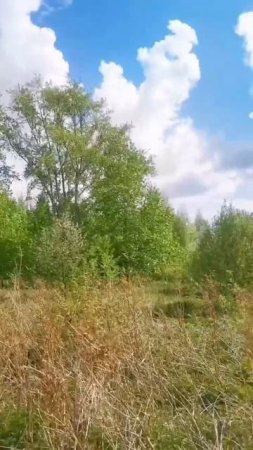 видео Монастырка