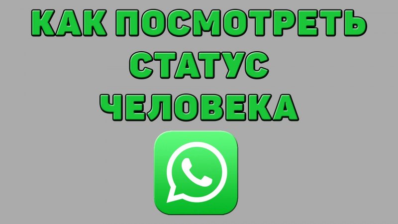 Как посмотреть статус человека в Ватсапе