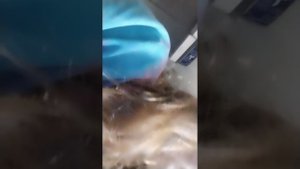 1 лайфхак и обзор на мои крутые вещи обычное видео