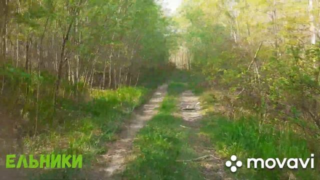 Ельники смотреть онлайн