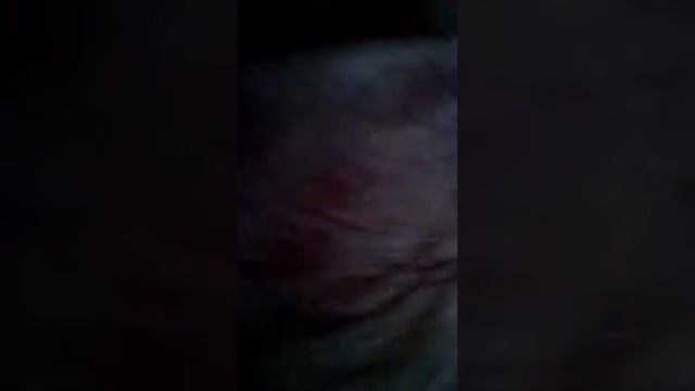 Музыкальная сказка :Снежка и Бони смотреть онлайн