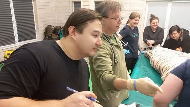 Жанна смотреть онлайн