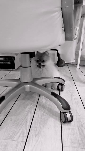 16 января 2023 г.