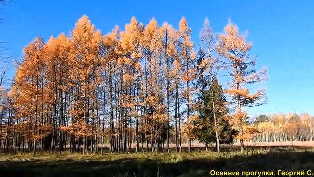 прогулка 001 смотреть онлайн