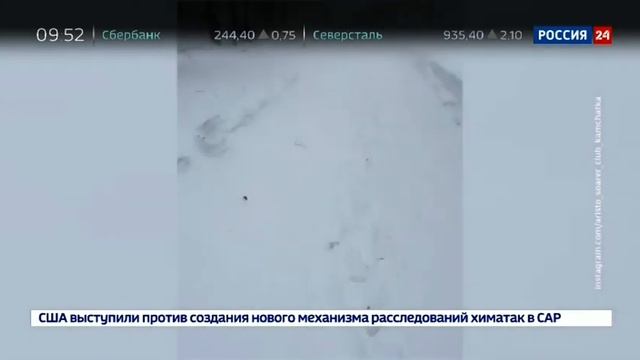 Екатерина Григорова 24.01.2018 09-50 смотреть онлайн