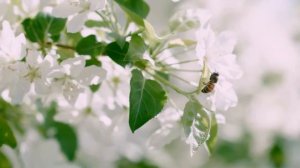 Мужик в Лифте Залез Девушке в Трусы! Сборник Свежих Ан?