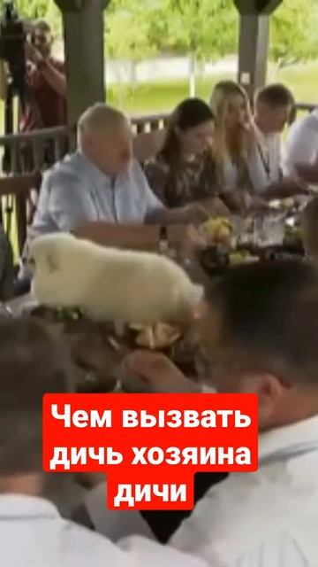 Лукашенко, собака и все остальные труженики села за одним столом. Собака на столе это знак? смотреть онлайн