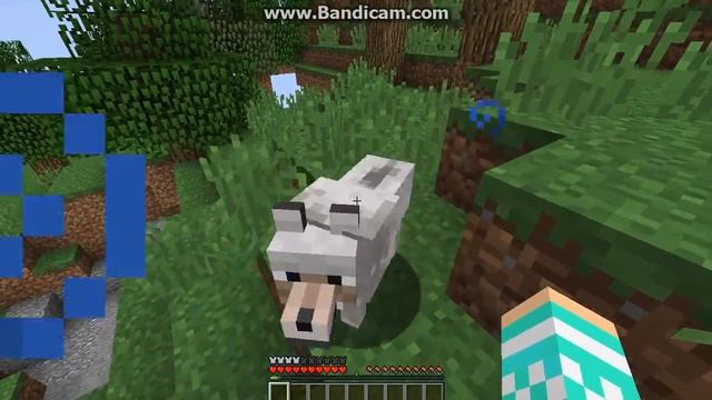 Волшебная страна чудес Мгия смотреть онлайн