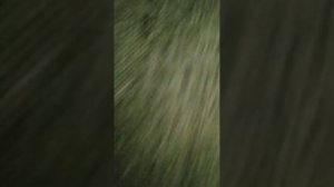 мои, hqd и вейпы из бумаги