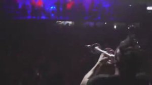 Пневмослон Разящая Рука