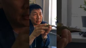 Health Priority Стельки