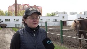 Орловским Рысакам 250