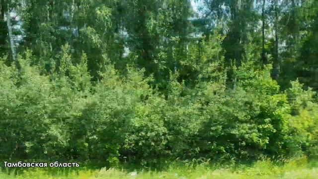 Поезд Москва - Воронеж | Виды из окна поезда