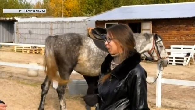 В Когалыме скачут Доллар и Евро смотреть онлайн