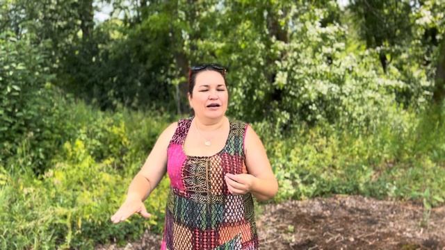 День финансовой грамотности смотреть онлайн