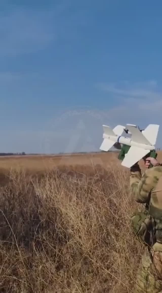 Дрон-перехватчик Елка