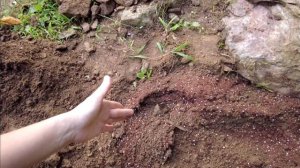 Моя обычная жизнь в Южной Корее / KOREA VLOG