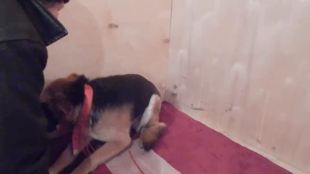 Аста  ..-если жить Надеждой ...то она СБУДЕТСЯ! смотреть онлайн