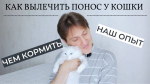 Как вылечить понос у кошки (наш опыт). Чем кормить котенка при поносе. Диарея у кота.