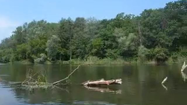 Красивое место рядом с пос. Донецкий смотреть онлайн