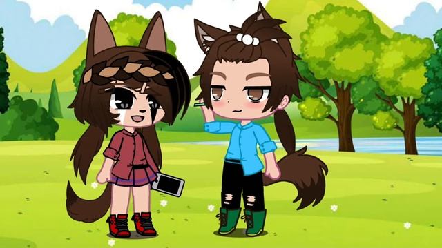 Видео из ТТ смотреть онлайн