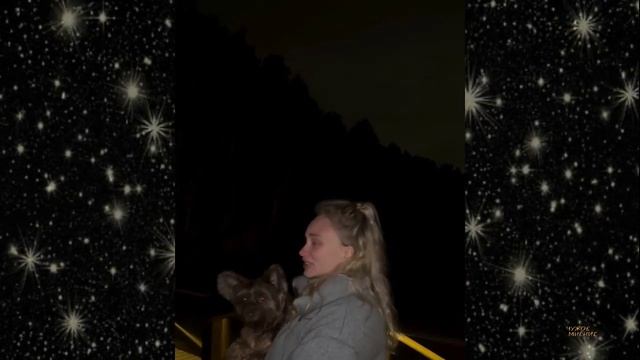 Курбан Омаров Довел беременную жену до слез /Что заказывает Валерия в ресторане смотреть онлайн