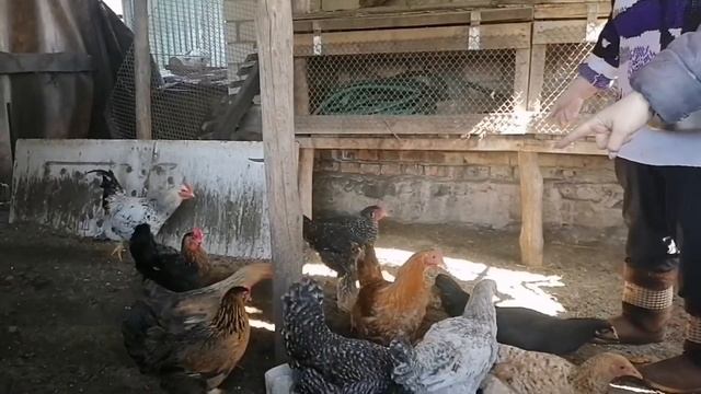 Ох и уматалась я сегодня 