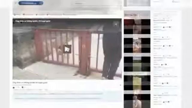 Поверьте! Начались показы рекламы на сайте THW Global ! смотреть онлайн