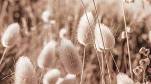 Аудиорассказ -Береги то, что дорого - Душевные истории