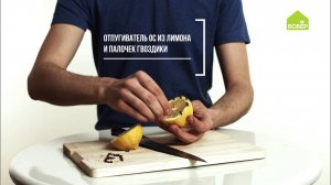 Лайфхаки для дачи! Как избавиться от птиц и ос и избежать укуса клеща