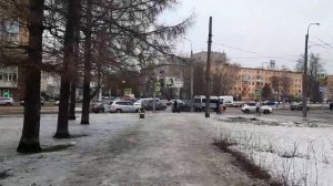 Любашинский сад