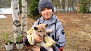 наш щенок - Марта