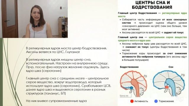Ствол мозга. Влияние на тело, эмоциональное состояние. Упражнения. Средний мозг, мост, продолговатый
